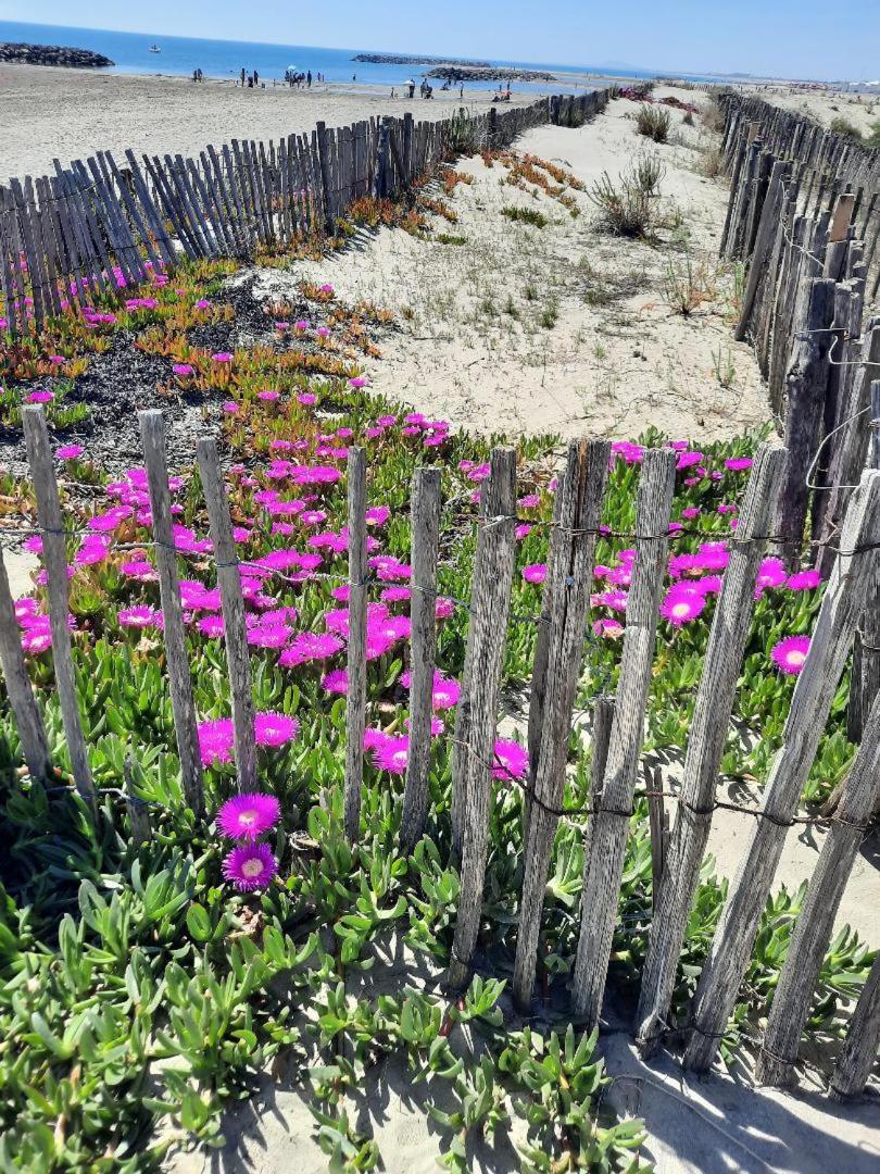 Maison A Marseillan Plage Eksteriør billede